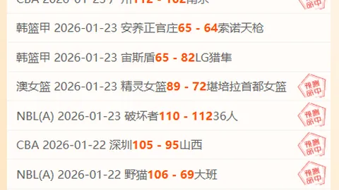 埃弗顿引进19岁葡萄牙新星切爾米蒂 助力破解锋线乏力难题